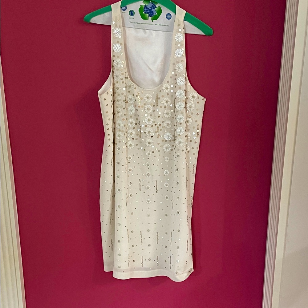 Cynthia Steffe Ivory Dress with Floral Details